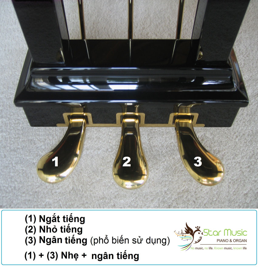 Hướng dẫn cách sử dụng Pedal Piano